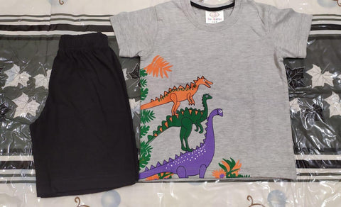 Colourful Dinosaur Kids Clothes